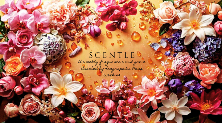 SCENTLE Word Drop Wednesday Week 23